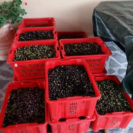 Vakantieboerderij Il Melo