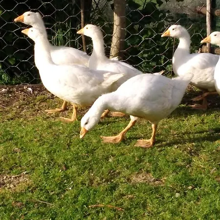 Il Melo Valfabbrica