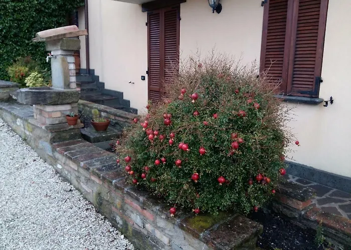 Il Melo ファームステイ